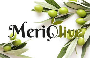 Mitolojide Zeytin